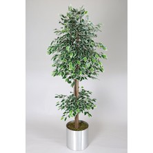 Yapay Çiçek Deposu Gri Metal Saksıda Yapay Benjamin Ağacı (Ficus Benjamina) 180 cm Yeşil Beyaz