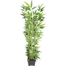 Yapay Çiçek Deposu Yapay Bambu Ağacı Premium Kalite 170CM 6 Gövdeli Ahşap Saksılı Antrasit Mavi