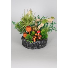 Yapay Çiçek Deposu Vintage Kabartmalı Saksıda Teraryum Yapay Sukulent Model 10