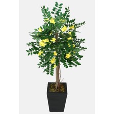 Yapay Çiçek Deposu Yapay Sibirya Bezelye Ağacı Caragana Arborescens 120 cm