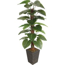 Yapay Çiçek Deposu 36 Yapraklı Yapay Alocasia Fil Kulağı Ağacı 190 cm (Ahşap Siyah Gold-Saksıda)