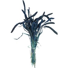 Yapay Çiçek Deposu Şoklanmış Setteria Boncuk Demeti 100 gr Lacivert