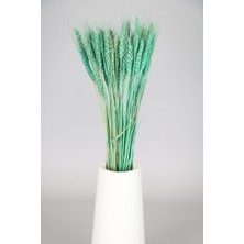 Yapay Çiçek Deposu Şoklanmış Başak Demeti Açık Turkuaz