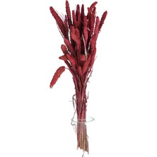 Yapay Çiçek Deposu Şoklanmış Setteria Boncuk Demeti 100 gr Bordo