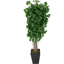 Yapay Çiçek Deposu Yapay Şemsiye Ağacı Islak Dokulu Yeşil 180 cm Hydrocotyle Verticillata