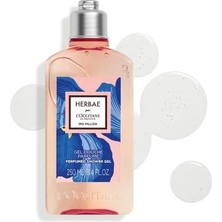 L'Occitanee Herbae Iris Pallida - Herbae Iris Duş Jeli 250 ml