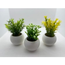 Ddtrend Beton Saksıda 3 Lü Set Yapay Çiçek Bitki , Gerçek Taş Yosunlu  Ddbs-01