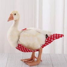 Shanhua Shop Kızıl Tarzı M Beden Sevimli Yay Tulum Cole Duck Uçuş Takım Elbise Pet Kuş Bezi Küçük Hayvanlar Giysileri Üniforma Doğum Günü Partisi Pet Gösterisi Için Cosplay Fotoğraf (Yurt Dışından)