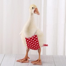 Shanhua Shop Kızıl Tarzı M Beden Sevimli Yay Tulum Cole Duck Uçuş Takım Elbise Pet Kuş Bezi Küçük Hayvanlar Giysileri Üniforma Doğum Günü Partisi Pet Gösterisi Için Cosplay Fotoğraf (Yurt Dışından)