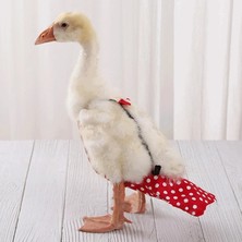 Shanhua Shop Kızıl Tarzı M Beden Sevimli Yay Tulum Cole Duck Uçuş Takım Elbise Pet Kuş Bezi Küçük Hayvanlar Giysileri Üniforma Doğum Günü Partisi Pet Gösterisi Için Cosplay Fotoğraf (Yurt Dışından)