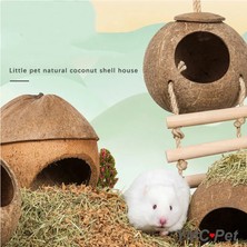 Shanhua Shop Hindistan Cevizi Evi D Stili Hamster Doğal Hindistan Cevizi Evi Küçük Pet Döken Ev Yatakları Guniea Domuz Çiğneme Oyuncak Hamster Aksesuarları Kuş Kafesleri (Yurt Dışından)