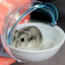 Shanhua Shop Mavi Stil M Beden Hamster Kafesi Banyo Sauna Küvet Küçük Pet Hamster Aksesuarları Banyo Kum Odası Pet Oyuncak Akrilik Ev (Yurt Dışından)