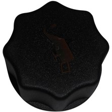 BRUCKE Motor Yağ Kapaği Fiat Ducato 18051