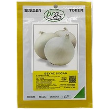 BURGEN Bt Beyaz Soğan Tohumu (10 Gr) Karbeyazı