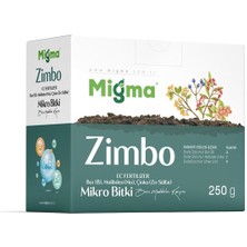 Migma Zimbo