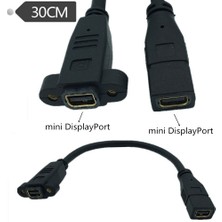 Yinstree Mini Displayport Dişi Soket Panel Montajlı Mini Displayport Dişi Uzatma Kablosu Mini Dp Dişi Minidp Dişi Kablo 0.3 M (Yurt Dışından)