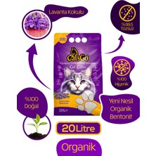 Cats Go Lavantalı Premium Kedi Kumu 20 lt Dev Boy