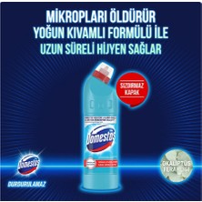 Domestos Çamaşır Suyu Yoğun Kıvamlı Formül Okaliptüs Ferahlığı Uzun Süreli Hijyen 750 ml