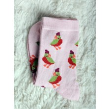 Buluş Organic Organik Penye Pamuk Desenli 12'li Çocuk Çorabı
