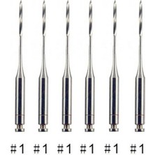 Scentu 1 Paket (6 Adet) Diş Peeso Raybaları 32MM #1-6 Çeşitli Endodontik Raybalar Matkap Burs Endo Dosyaları Largo Diş Hekimi (Yurt Dışından)