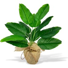 Nettenevime Yapay Çiçek Keten Hasır Saksıda Yeşil Muz Yapraklı 12DAL 50CM Salon Çiçeği Yapay Bitki