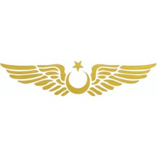 Ay Yıldız Kanatlı Türk Bayrağı Oto Kapı Cam Kaput Sticker - 30CM