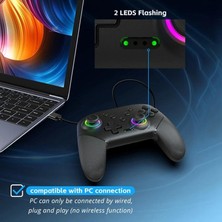 Schulzz Pc OLED Lite N.switch Uyumlu Joystick Gamepad