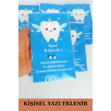 Emtory Home 20 Adet Mavi Kartlı Diş Buğdayı Inci Küpe