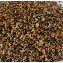 Mercan Yöresel Fesleğen 250  GR