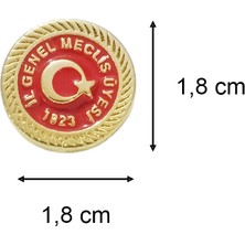 Hiçdurmaal İl Genel Meclis Üyesi Yazılı Gold Renk Metal Yaka Rozeti 1 Adet