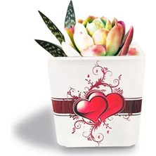 Tink Dekoratif Buzlu Cam Mumluk Kalpler Desen 8x8 cm (4 Adet)