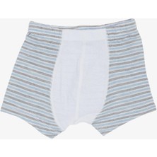 Katamino Erkek Çocuk Boxer Çizgili Karışık 1-3 Yaş, Karışık Renk