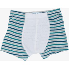 Katamino Erkek Çocuk Boxer Çizgili 1-3 Yaş, Karışık Renk