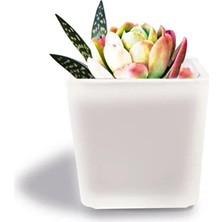 Tink Dekoratif Buzlu Cam Mumluk 8x8 cm (2 Adet)