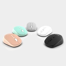 Inca IWM-243R Candy Desing  4d Silent Wireless Mouse