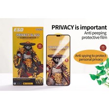 Grabono Samsung Galaxy S24 Plus Hayalet Ekran Toz Tutmayan Esd Anti-Statik Tempered Privacy Ekran Koruyucu