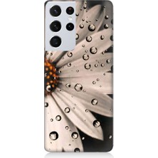 Teknomeg Samsung Galaxy S21 Ultra Edition Uyumlu Papatya ve Su Damlaları Desenli Silikon Kılıf