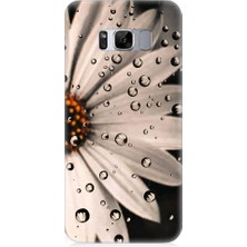 Teknomeg Samsung Galaxy S8 Plus Uyumlu Papatya ve Su Damlaları Desenli Silikon Kılıf