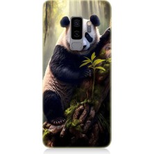 Teknomeg Samsung Galaxy S9 Plus Uyumlu Panda ve Ağaç Desenli Silikon Kılıf