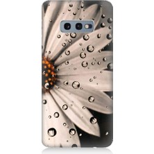 Teknomeg Samsung Galaxy S10E Uyumlu Papatya ve Su Damlaları Desenli Silikon Kılıf