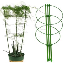 Bettyalala Asma Tırmanma Rafı 60 cm Çiçek Bitki Kafes Bitki Destek Çerçevesi Bahçe Aletleri Podazz (Yurt Dışından)