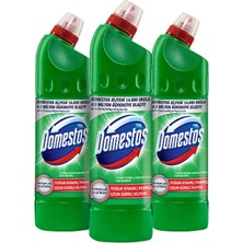 Domestos Çamaşır Suyu Dağ Esintisi 750 ml(3LÜ)
