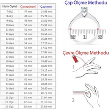 Taja Erkek Yüzük Gümüş 925 Ayar Zirkon Taşlı