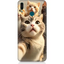 Teknomeg Huawei Y9 2019 Uyumlu Selfie Kediler Desenli Silikon Kılıf