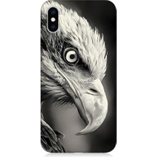 Teknomeg Apple iPhone Xs Uyumlu Siyah Beyaz Kara Kartal Başı Desenli Silikon Kılıf