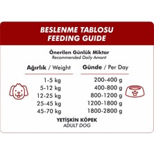 Foodline Biftekli Yetişkin Köpek Konservesi 400 gr x 12 Adet