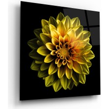 Glass Art Sarı Çiçek Kare Cam Tablo