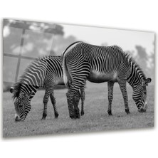 Glass Art Zebra Yatay Cam Tablo