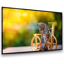Glass Art Yavru Kedi Yatay Cam Tablo