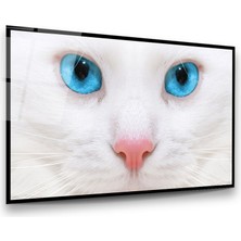 Glass Art Mavi Gözlü Kedi Yatay Cam Tablo